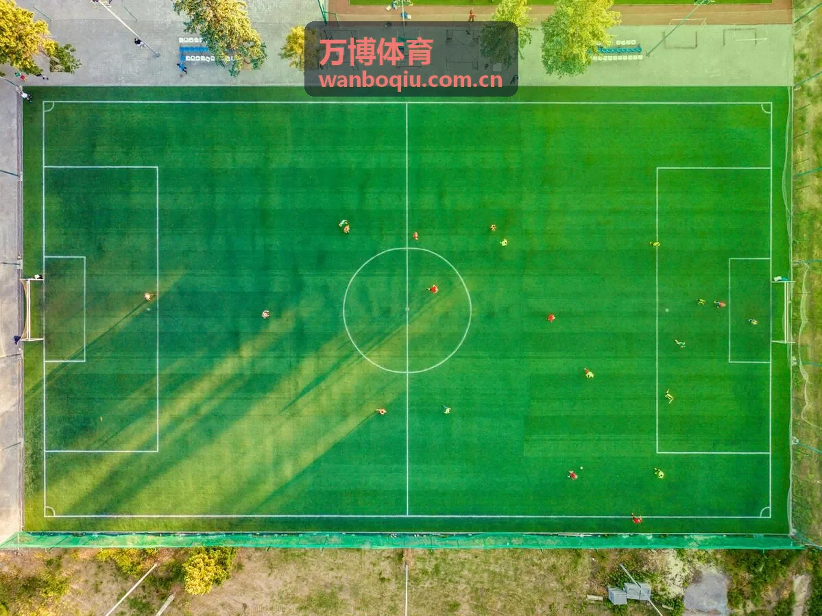 万博体育体育专题主题